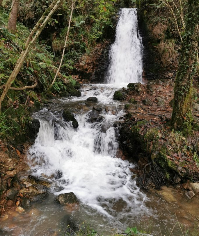 Ruta a la Cascada del Nonaya景点图片