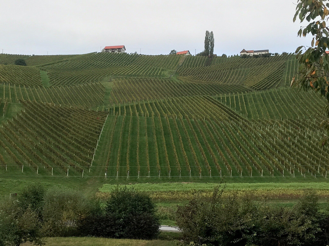 Weingut Karl & Gustav Strauss-Gamlitz必去景点