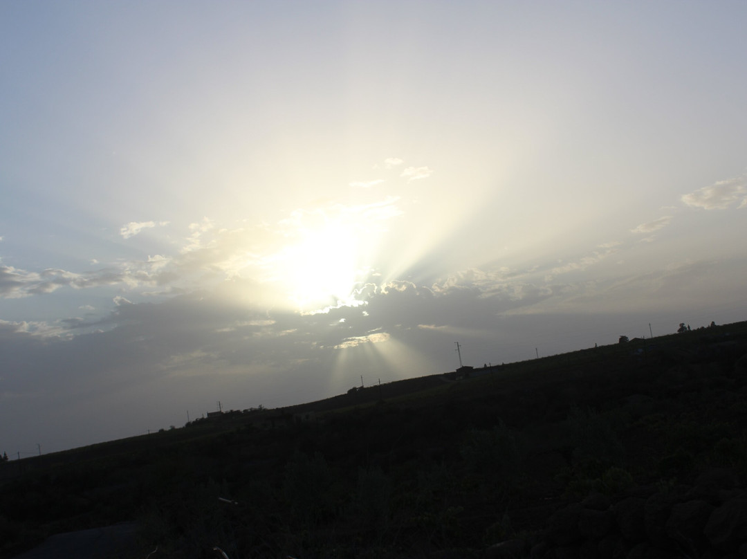 Quad Squad Tenerife-阿罗纳必去景点