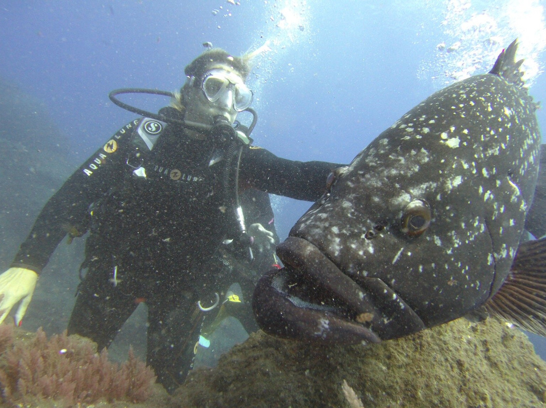 Mero Diving Center-Canico必去景点