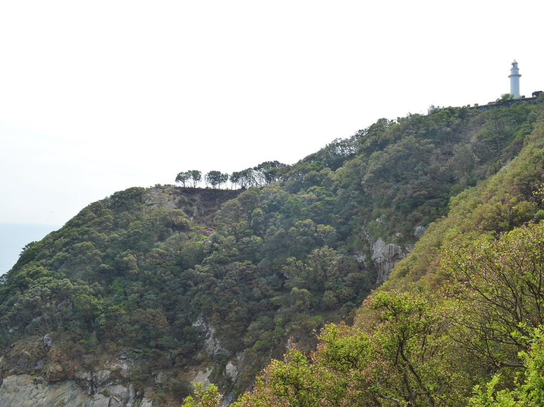 Tsurumizaki Panorama Lookout-佐伯市必去景点