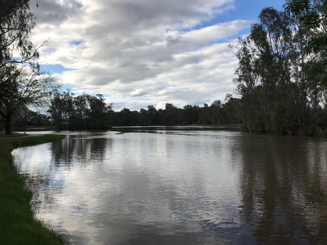 Lake Benalla Walking Track景点图片