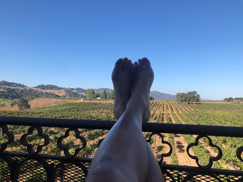 Sunstone Winery-圣伊内斯必去景点