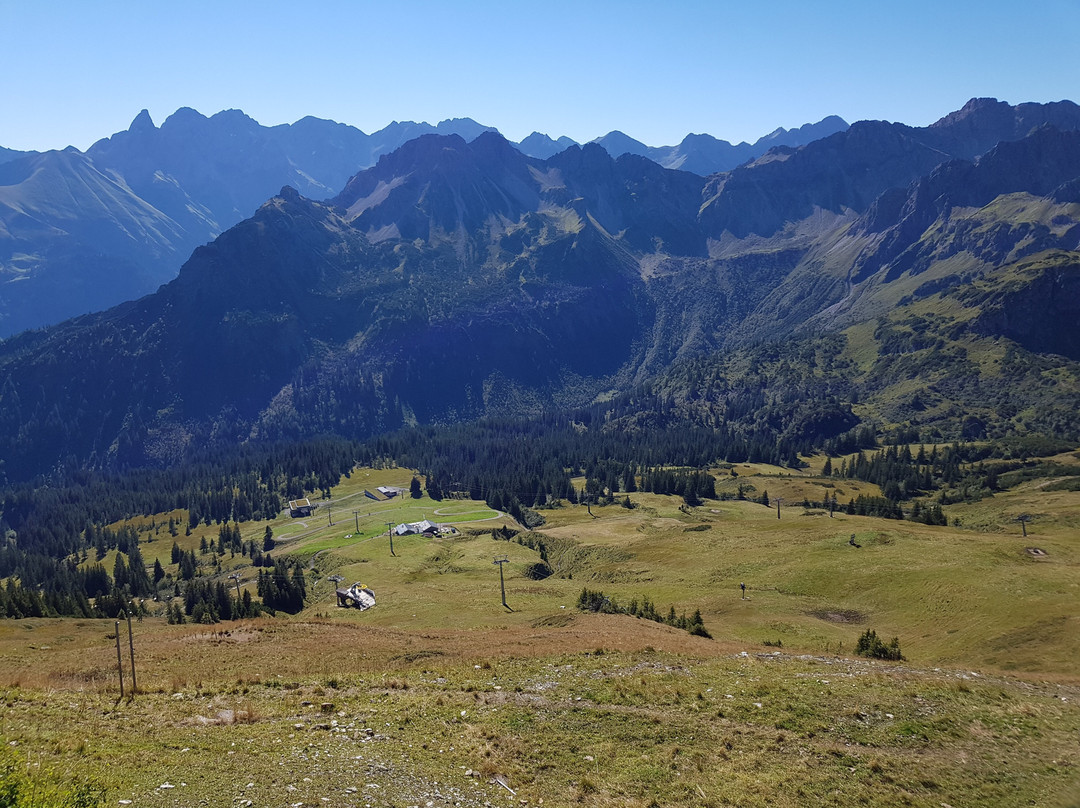 Fellhorn / Kanzelwandbahn景点图片