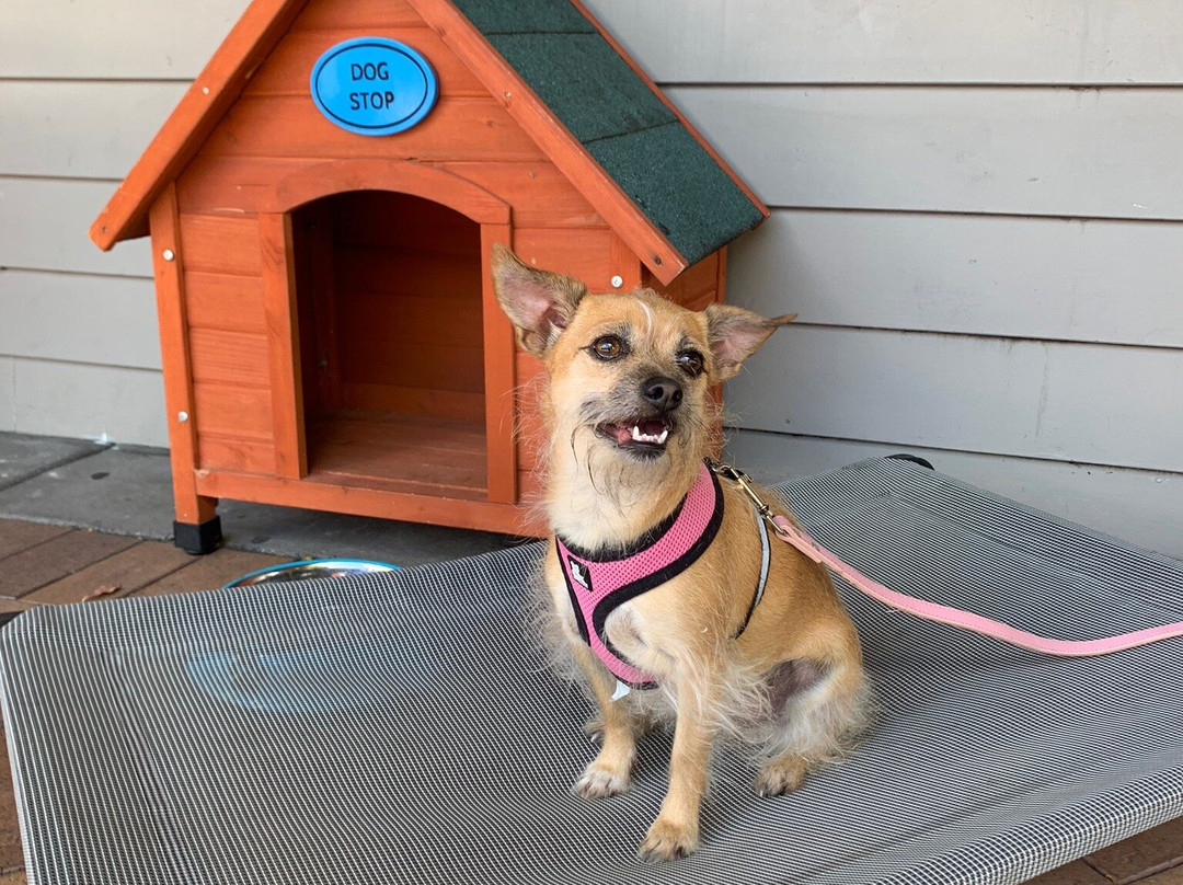 Queenslander Hotel主图