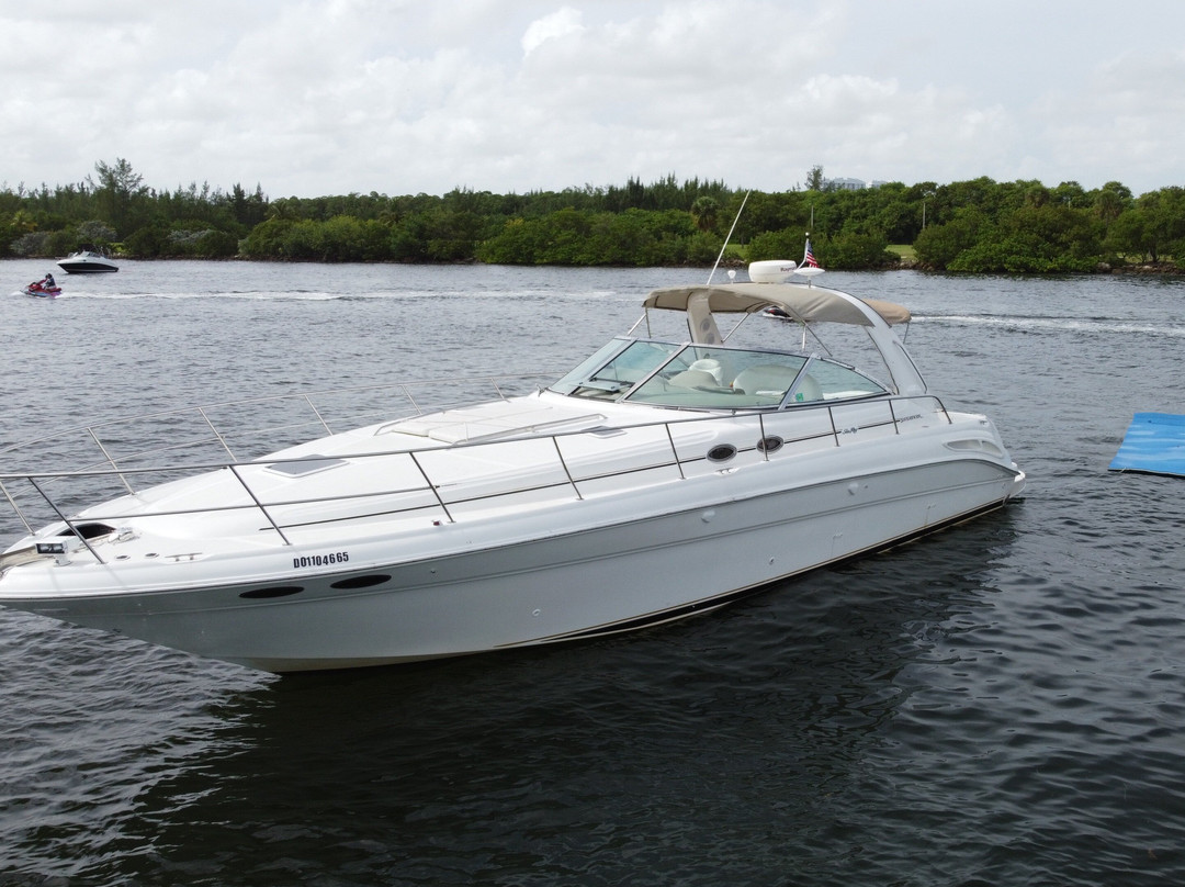 Dolphin Water Sport-迈阿密海滩必去景点