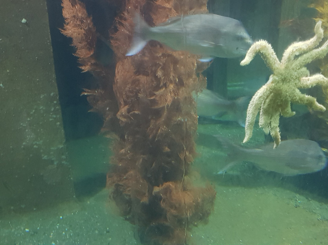 EcoWorld Aquarium & Wildlife Rehabilitation Centre景点图片