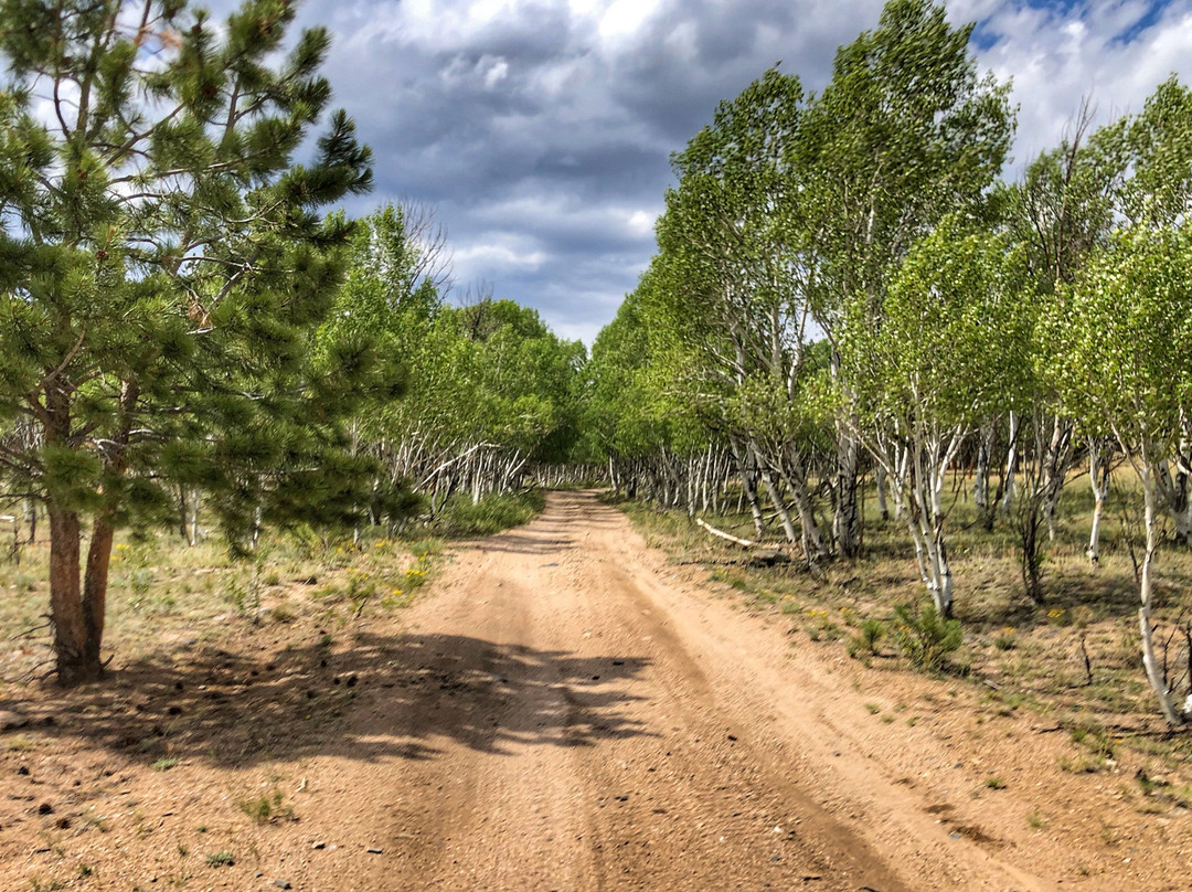 Colorado Motorcycle Adventure-Lone Tree必去景点