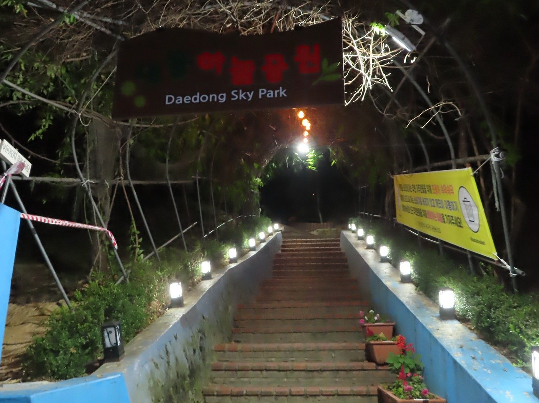 Daedong Sky Park-大田必去景点