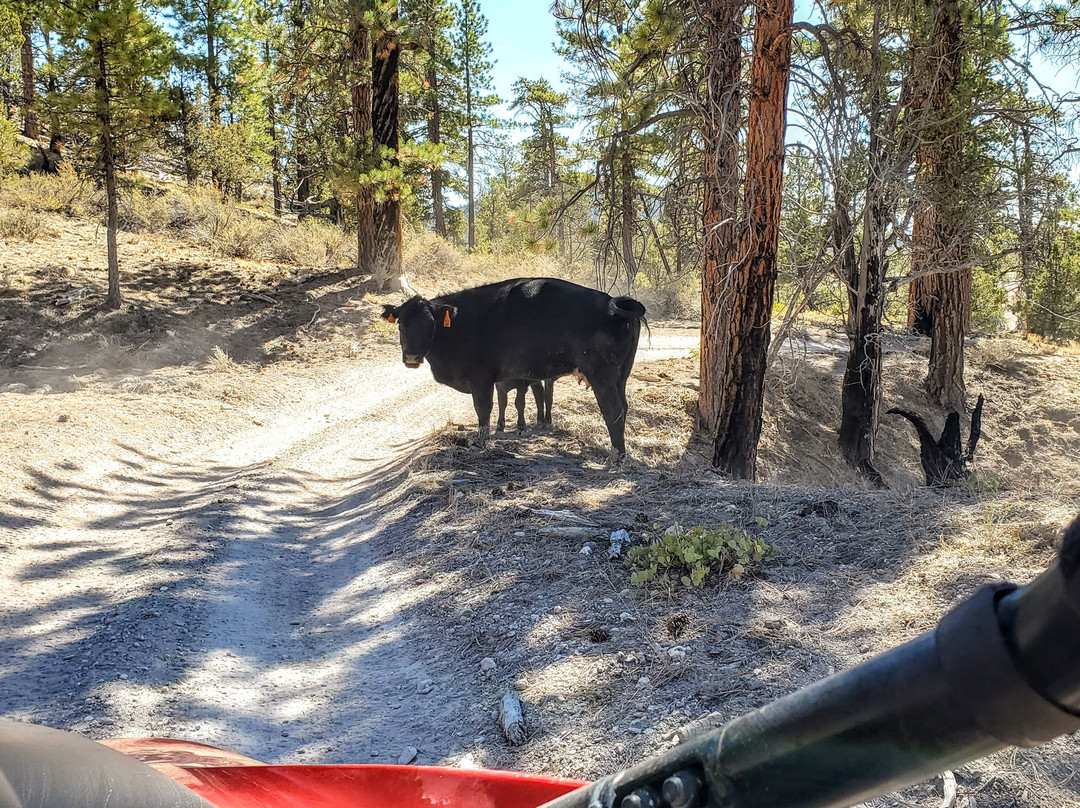 American ATV Rentals Bryce Canyon Country-潘圭奇必去景点