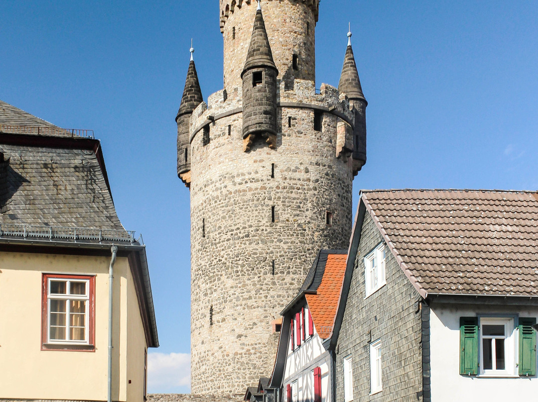 Friedberg Castle景点图片
