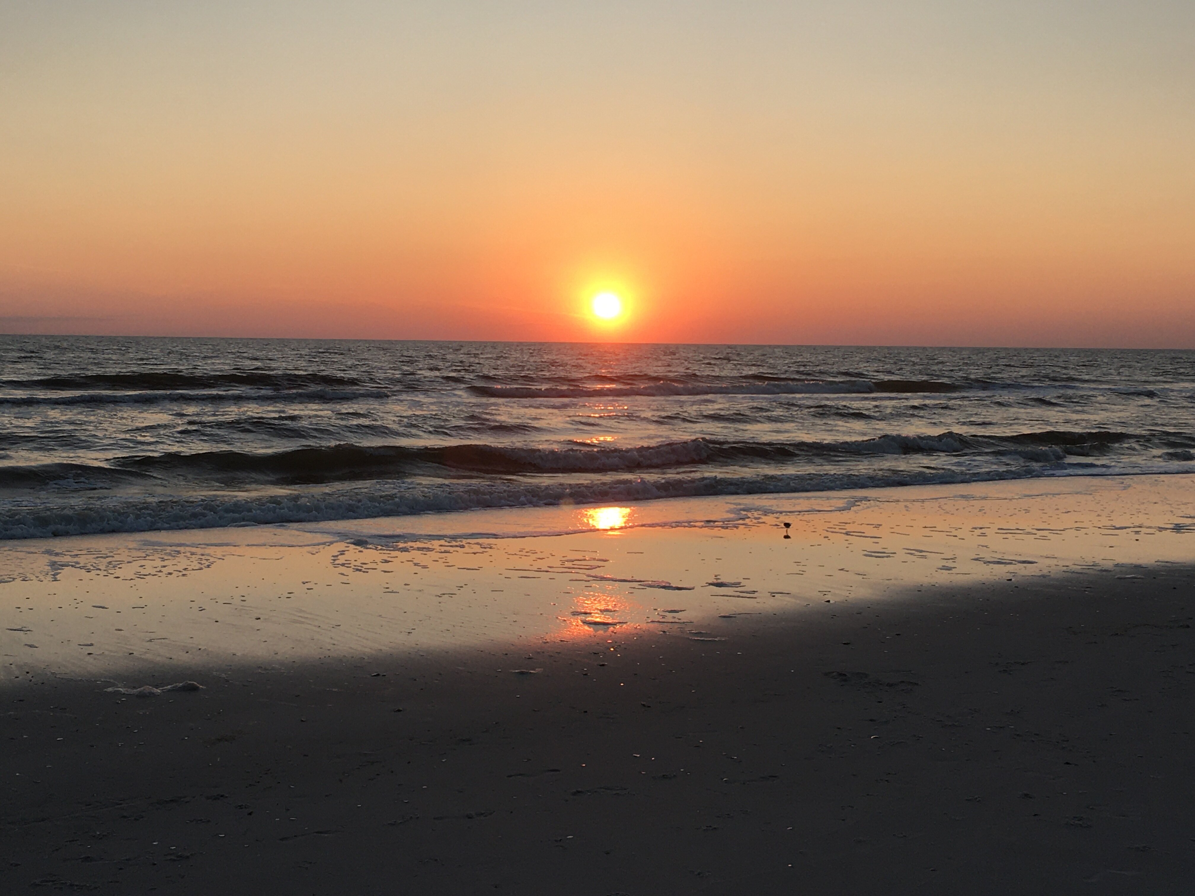 Cape San Blas Inn-泳池