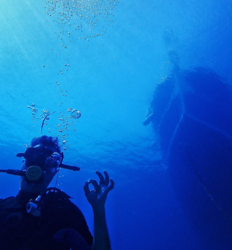 Divection Dalış Eğitim Merkezi-卡斯必去景点