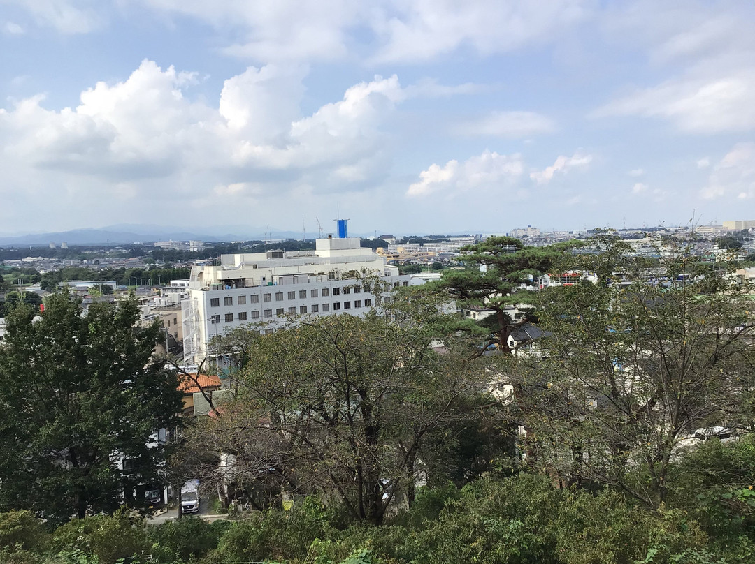 Sayama Inariyama Park-狭山市必去景点