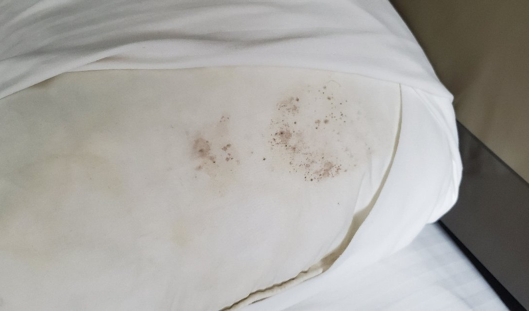 La Quinta Inn & Suites by Wyndham Mission at West McAllen主图