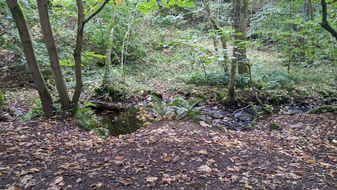 Mugdock Country Park-Milngavie必去景点