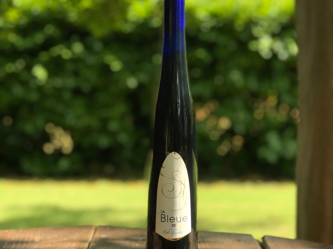 Domaine Coste Longuiere景点图片