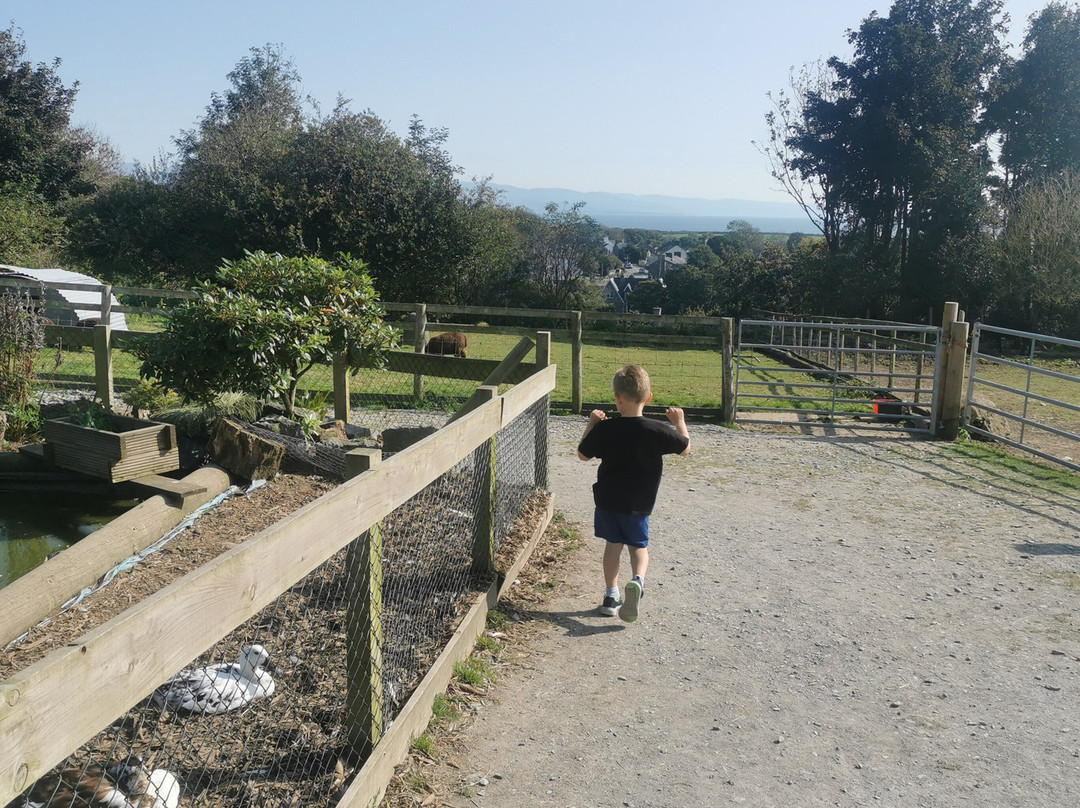 Dwyfor Ranch Rabbit Farm and Animal Park景点图片