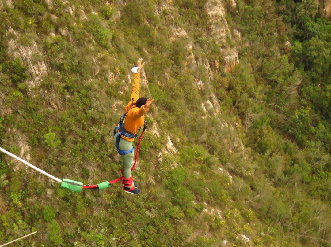 Bloukrans Bridge景点图片