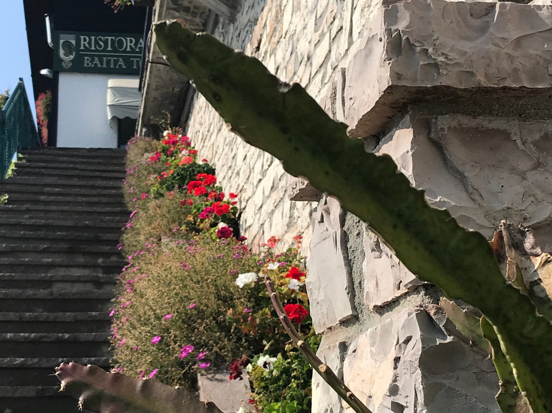 Albergo Baita Tosca主图