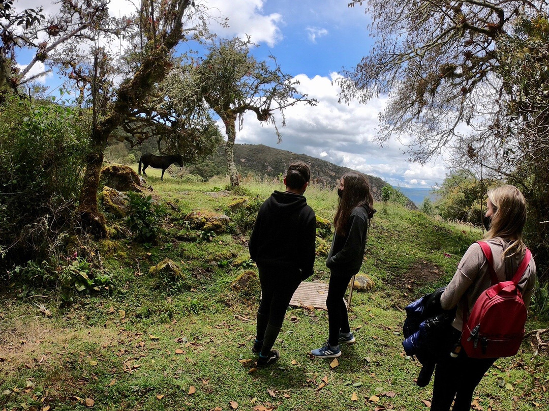 Reserva Natural El Chochal de Siecha景点图片