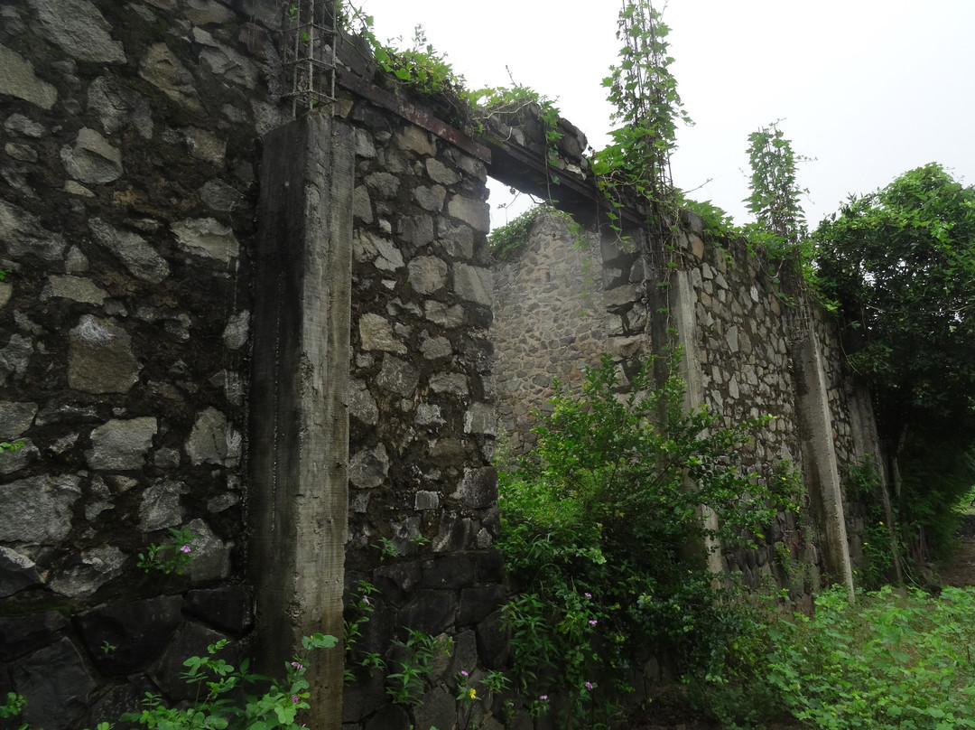 FANILO TOURS景点图片
