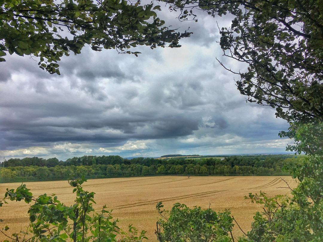 Aston Rowant Discovery Trail景点图片