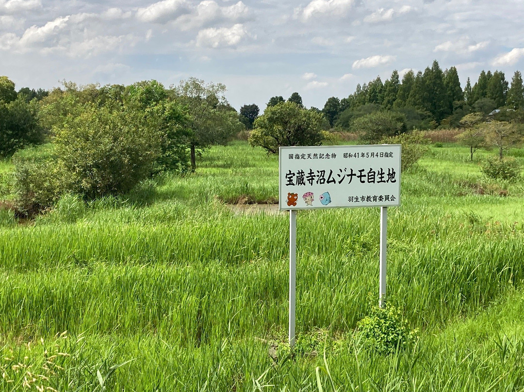Saitama Aquarium-羽生市必去景点