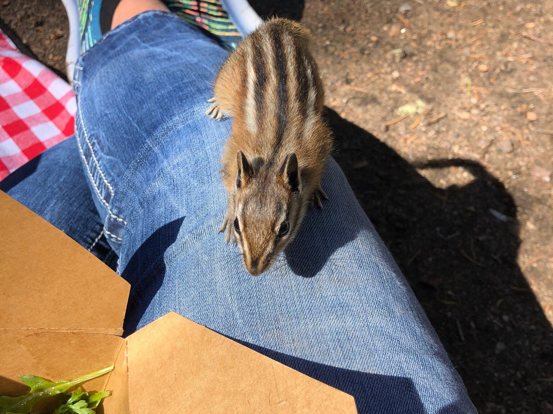 Beaver Creek Stables-比弗河必去景点