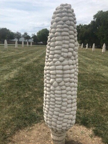 Field of Giant Corn Ears-都柏林必去景点