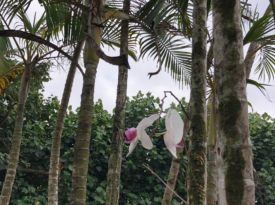 Pousada das Garças主图