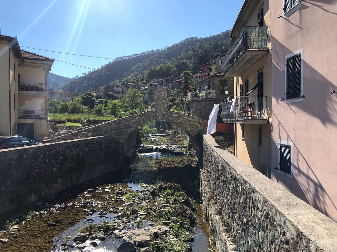 Borgo antico di Pignone景点图片