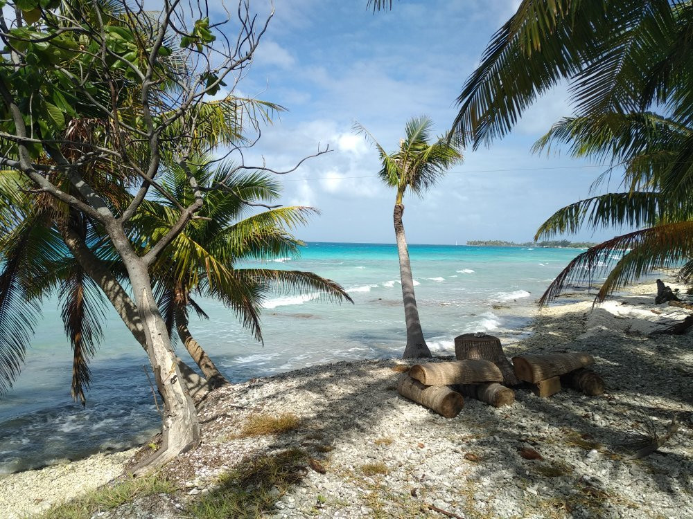 Rangiroa Diving Center景点图片