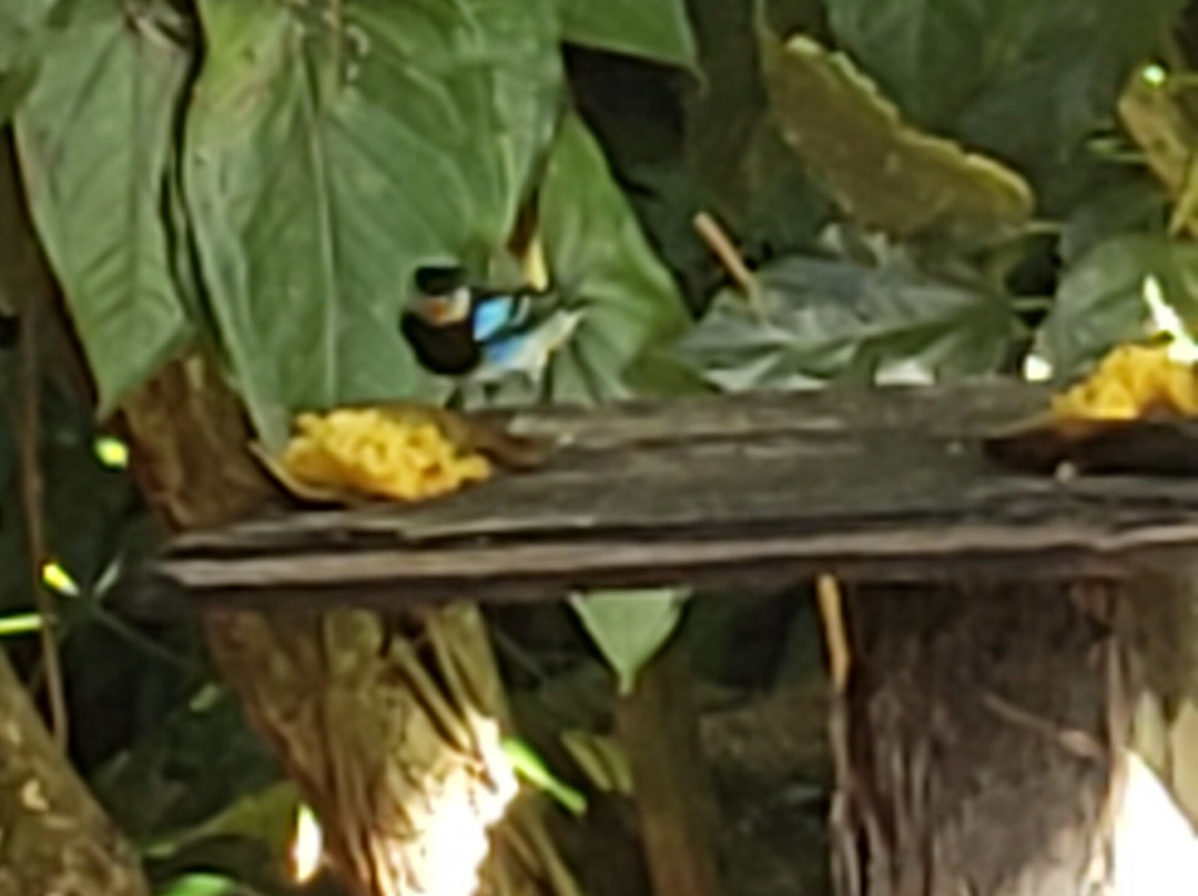 Ciudad Perdida Eco Lodge主图