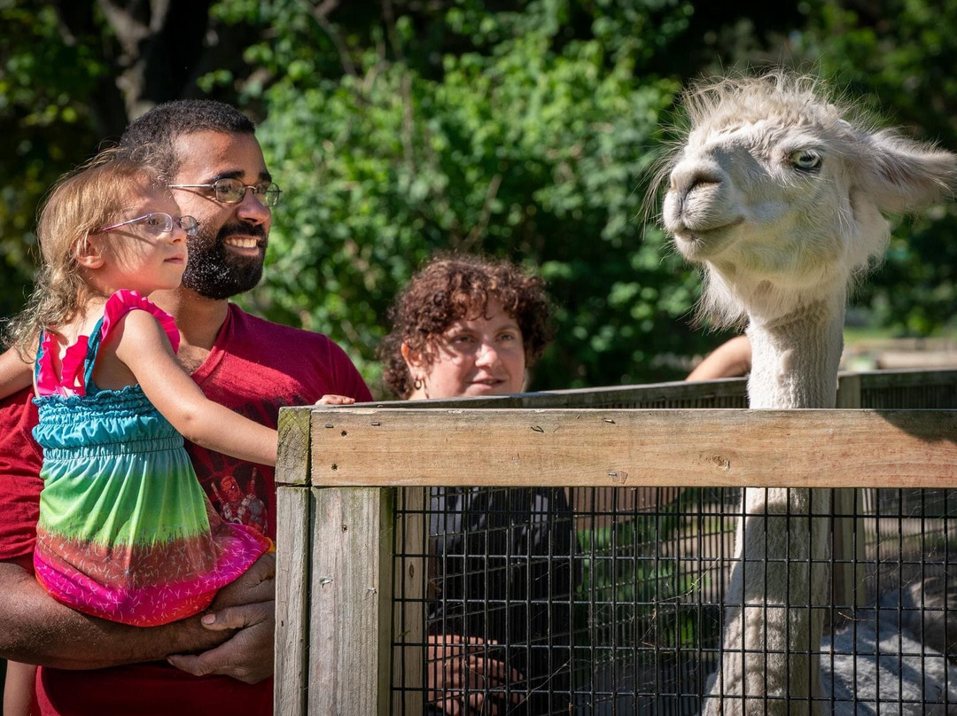 Menominee Park-奥什科什必去景点