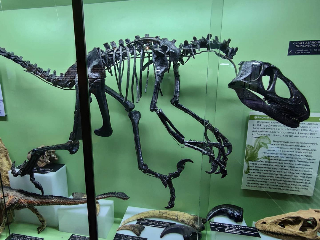 Vyatka Museum of Paleontology-基洛夫必去景点