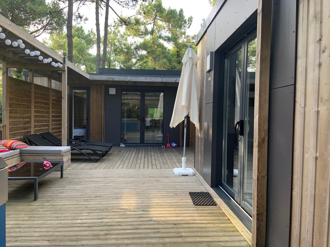 Sandaya Interlude主图