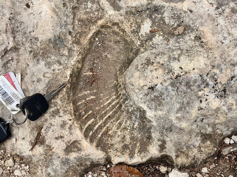 Cleburne State Park-Cleburne必去景点