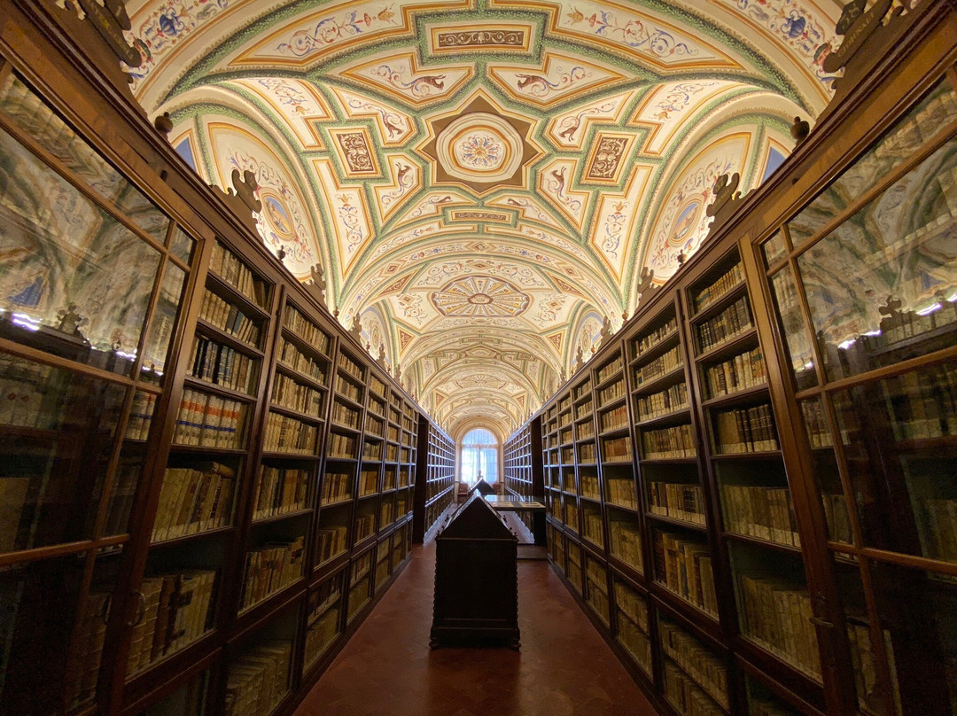 Biblioteca Comunale Mozzi-Borgetti景点图片