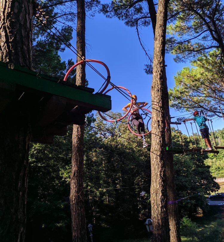 Parco Avventura Etna景点图片