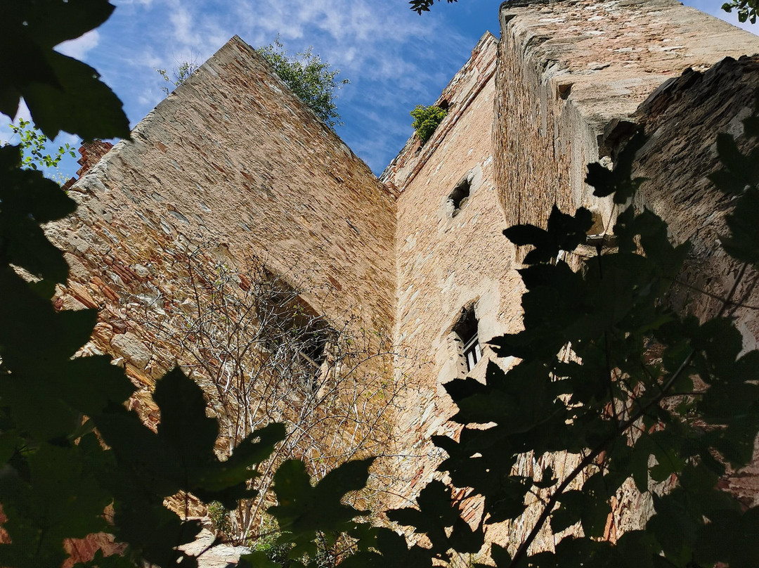 Burgruine Landsee-Landsee必去景点