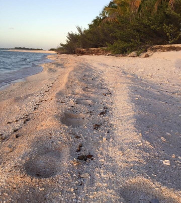 Relais Royal Tikehau主图