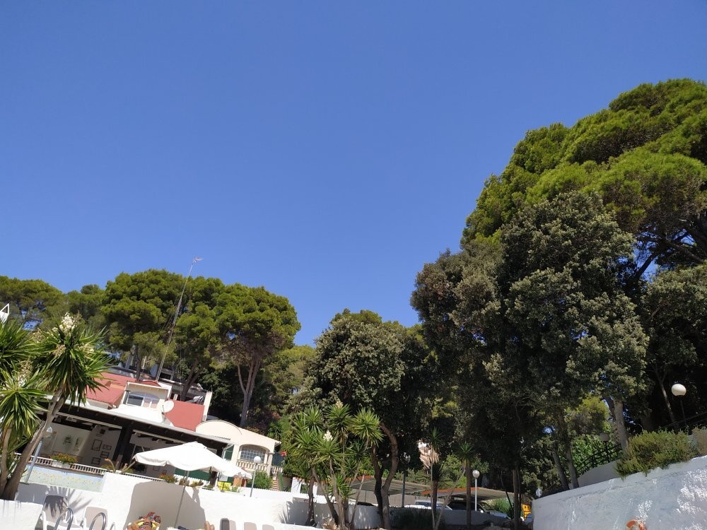 Apartamentos Alta Galdana主图