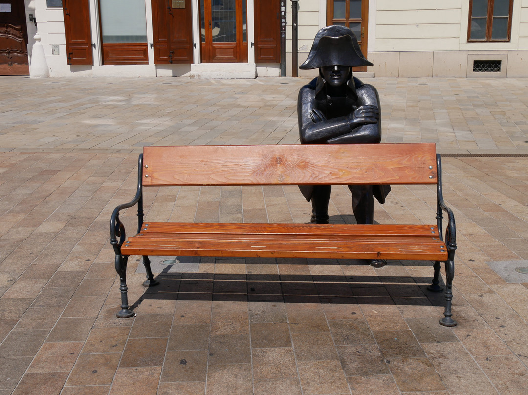 Napoleon’s Army Soldier Statue-布拉迪斯拉发必去景点