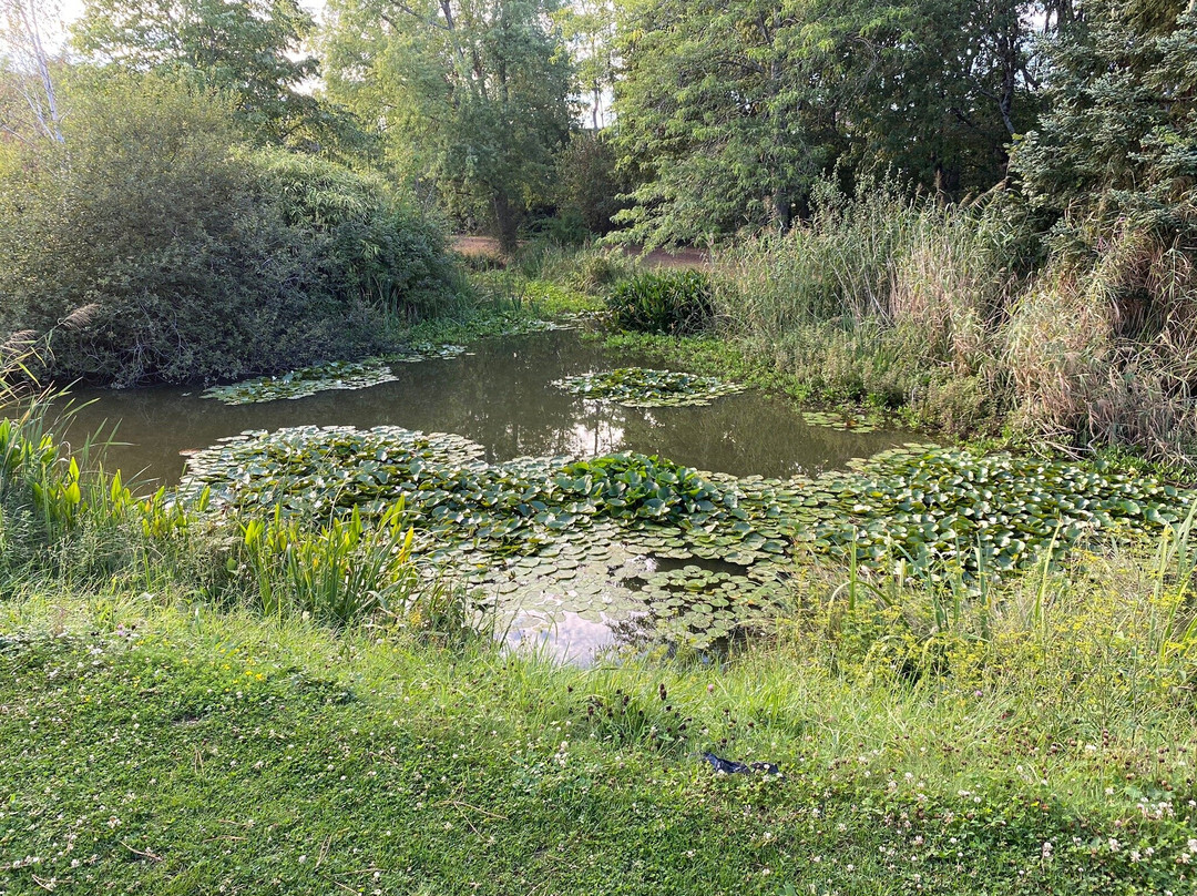 Parc floral de la Roseraie-普瓦捷必去景点