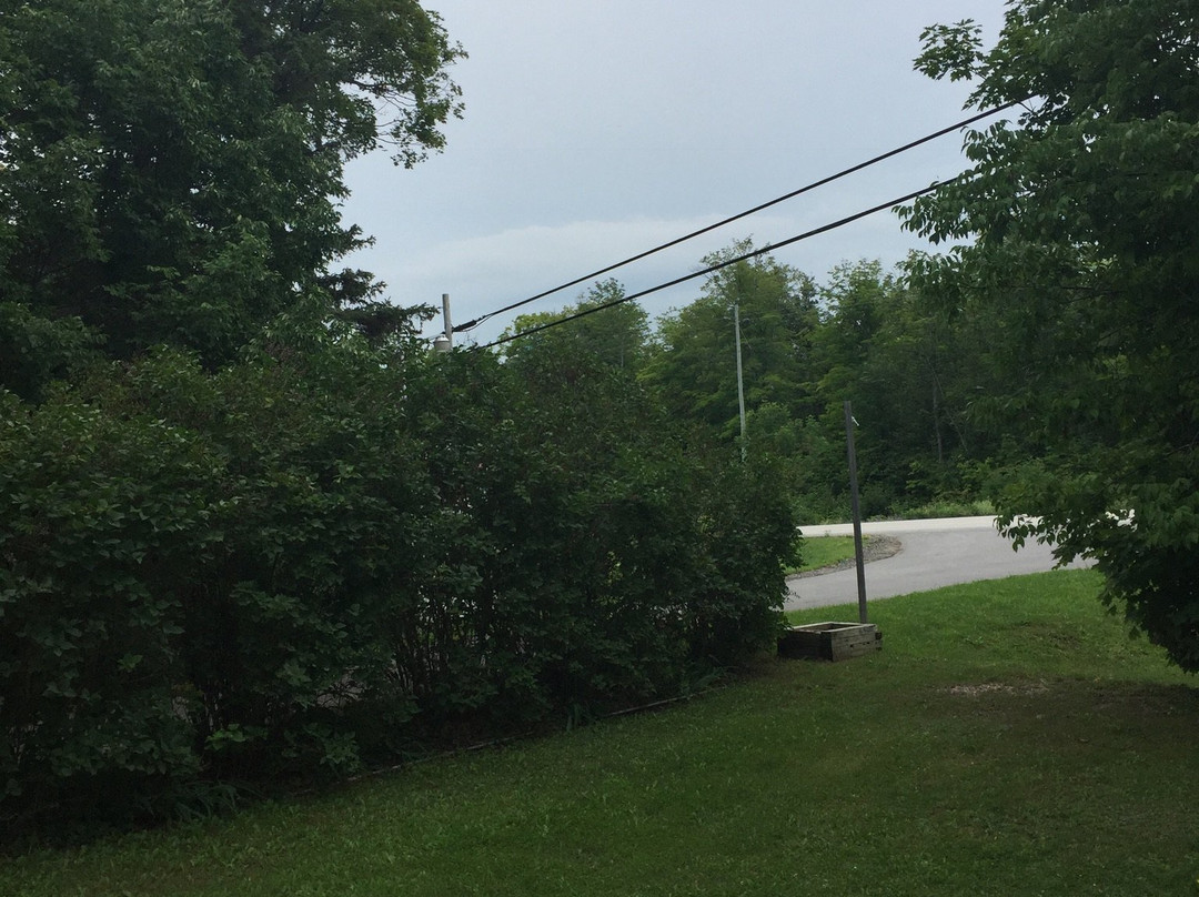 Paradise Motel主图