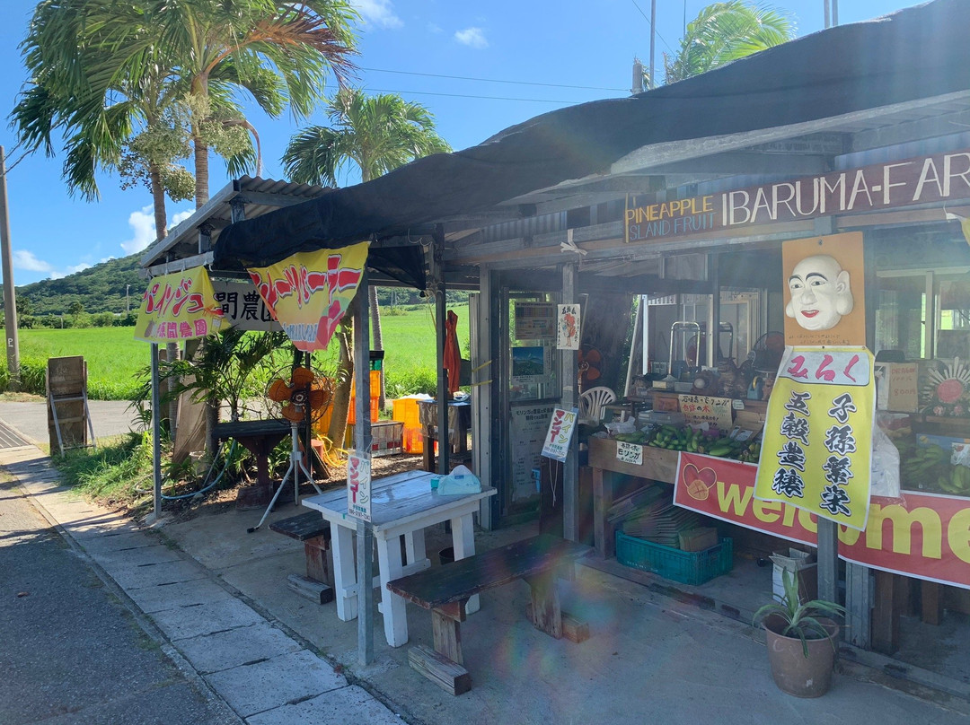 Ibaruma Farm Fruits Chokubaijo景点图片