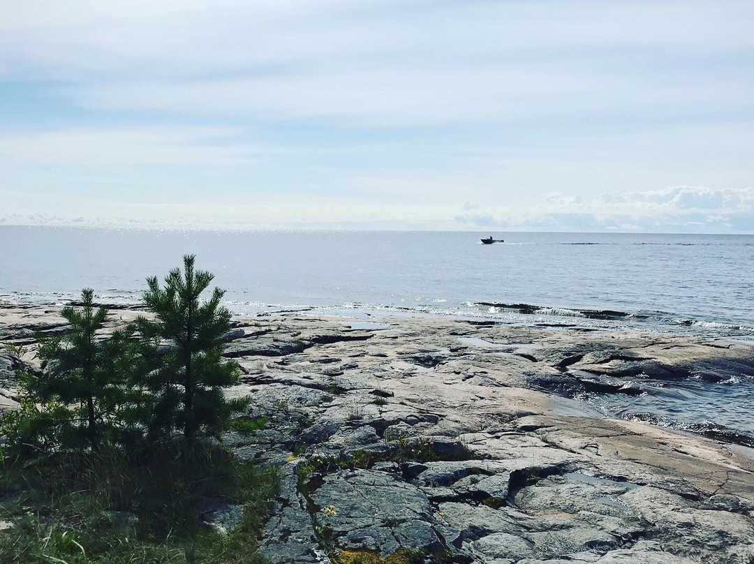 Onega petroglyphs景点图片