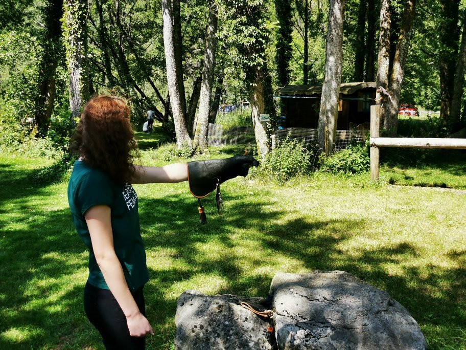 Parc Animalier du Herisson-Menetrux-en-Joux必去景点