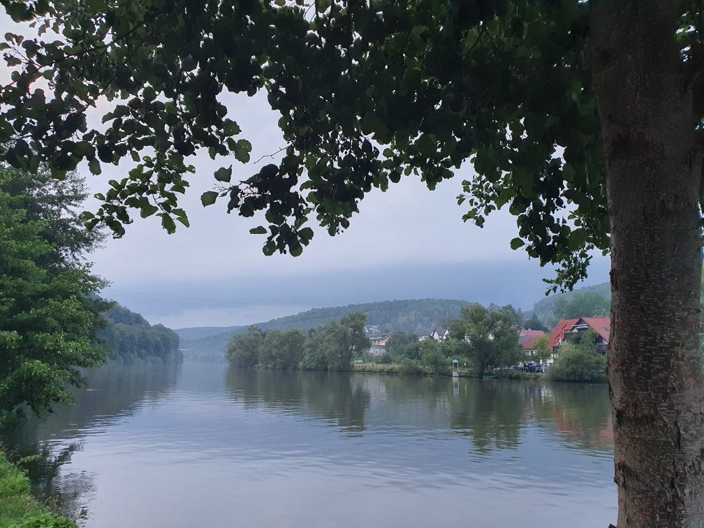 Roter Kater & Graue Katze主图